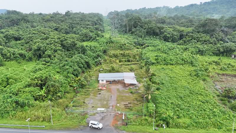 Agricultural Land for Sale in Kuching (Sarawak) - Sherene Kok - Exterior - PropertyGuru.com.my