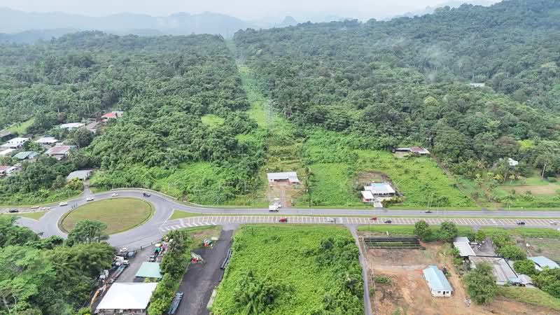 Agricultural Land for Sale in Kuching (Sarawak) - Sherene Kok - Exterior - PropertyGuru.com.my