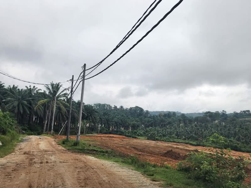 Tanah Pertanian untuk Dijual di Batu Arang (Selangor) - Tan Y.W. - Exterior - PropertyGuru.com.my