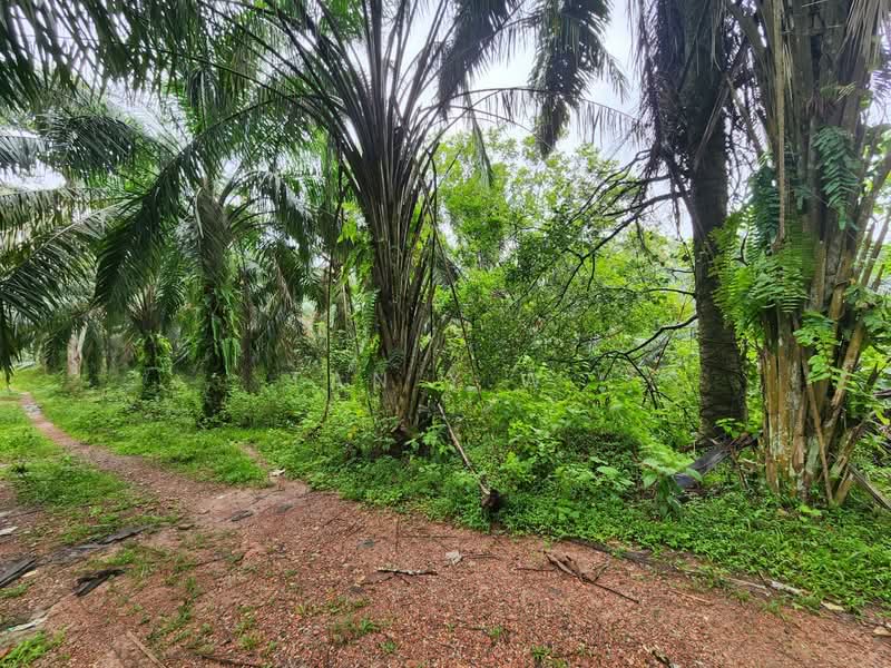 Tanah Pertanian untuk Dijual di Batu Arang (Selangor) - Tan Y.W. - Exterior - PropertyGuru.com.my