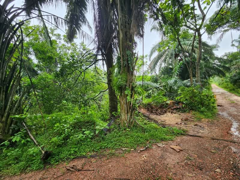 Tanah Pertanian untuk Dijual di Batu Arang (Selangor) - Tan Y.W. - Exterior - PropertyGuru.com.my