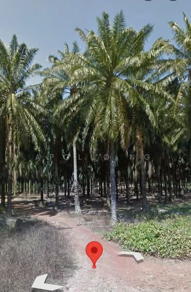 Agricultural Land for Sale in Bandar Serenia (Dengkil) - Apollo Ng - PropertyGuru.com.my