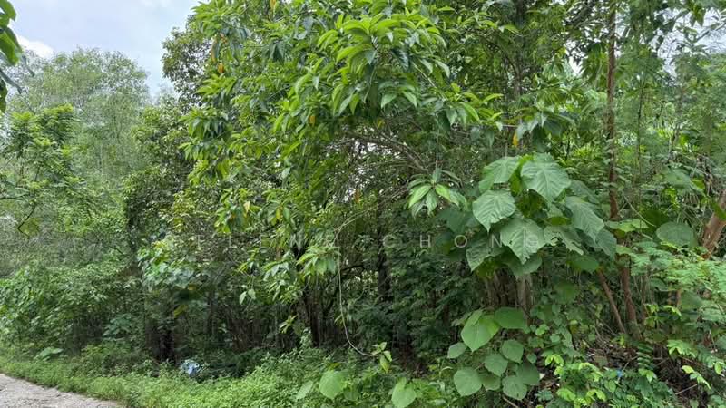 Tanah Komersial untuk Dijual di Lestari Putra (Seri Kembangan) - Selene Chong - Exterior - PropertyGuru.com.my