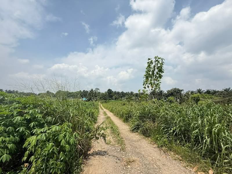 Agricultural Land for Sale in Taman Desa Cemerlang (Ulu Tiram) - Guang Jun Loh - PropertyGuru.com.my