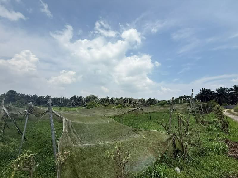 Agricultural Land for Sale in Taman Desa Cemerlang (Ulu Tiram) - Guang Jun Loh - PropertyGuru.com.my