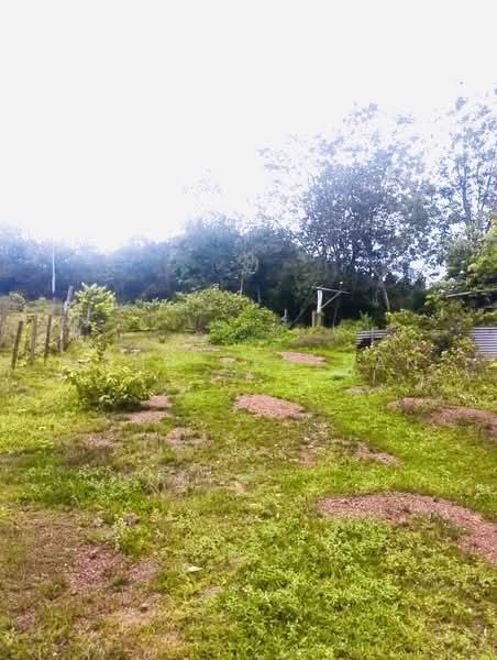 Tanah Pertanian untuk Dijual di Alor Gajah (Melaka) - Mohd Redzuan - Exterior - PropertyGuru.com.my