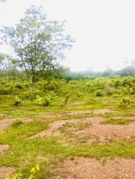 Tanah Pertanian untuk Dijual di Alor Gajah (Melaka) - Mohd Redzuan - Exterior - PropertyGuru.com.my