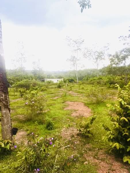Tanah Pertanian untuk Dijual di Alor Gajah (Melaka) - Mohd Redzuan - Exterior - PropertyGuru.com.my