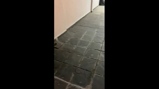 Rumah Teres 1 Tingkat untuk Dijual di Taman Bukit Maluri (Kepong) - LM Gan - PropertyGuru.com.my