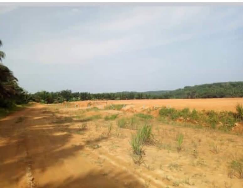 Tanah Pertanian untuk Dijual di Pekan Nenas (Jeram Batu) - Joanna Koo - Exterior - PropertyGuru.com.my