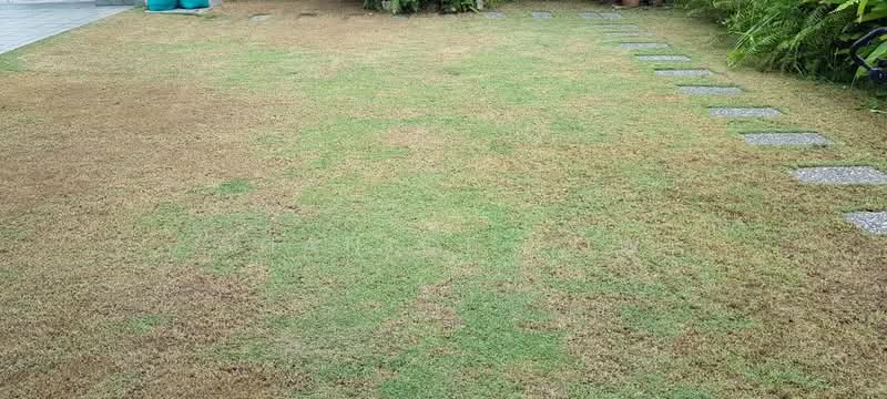 Rumah Berkembar untuk Dijual di Bandar Puteri Puchong (Puchong) - Shanice Low - Garden - PropertyGuru.com.my