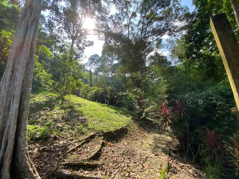 Agricultural Land for Sale in Kampung Dusun Tua (Hulu Langat) - Noor Aini Bt Ayob - PropertyGuru.com.my