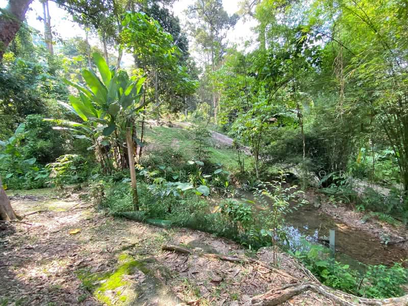 Agricultural Land for Sale in Kampung Dusun Tua (Hulu Langat) - Noor Aini Bt Ayob - PropertyGuru.com.my