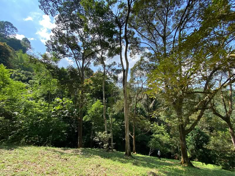 Agricultural Land for Sale in Kampung Dusun Tua (Hulu Langat) - Noor Aini Bt Ayob - PropertyGuru.com.my