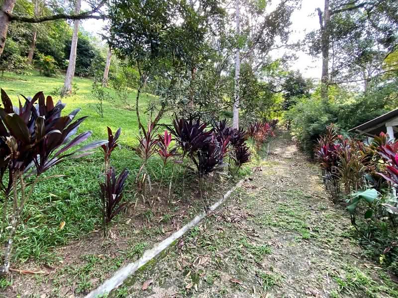 Agricultural Land for Sale in Kampung Dusun Tua (Hulu Langat) - Noor Aini Bt Ayob - PropertyGuru.com.my