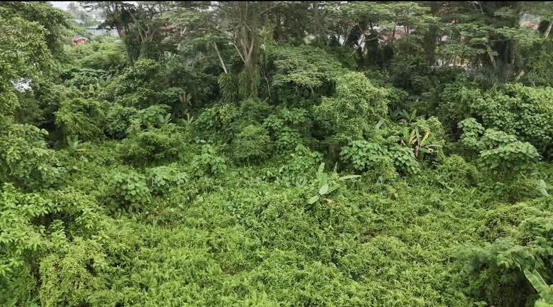 Commercial Land for Sale in Puchong (Selangor) - Endy Hidayat - Exterior - PropertyGuru.com.my