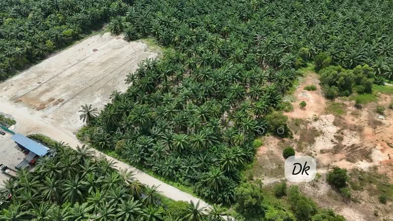Industrial Land for Sale in Telok Panglima Garang (Selangor) - Darren Khoo - Exterior - PropertyGuru.com.my