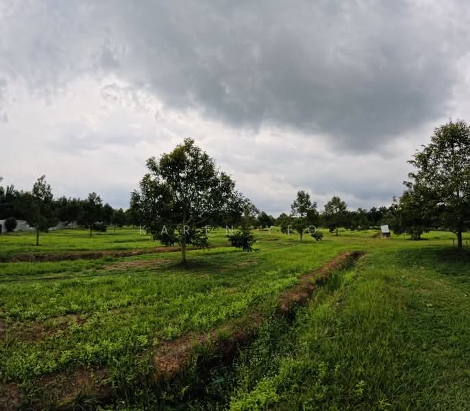 Agricultural Land for Sale in Chamek (Paloh) - Karen Yeo - PropertyGuru.com.my