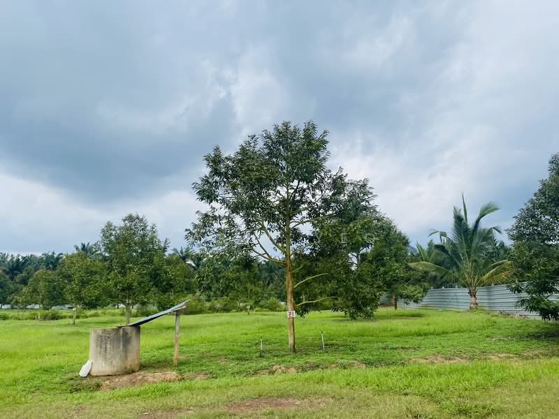 Agricultural Land for Sale in Chamek (Paloh) - Karen Yeo - PropertyGuru.com.my