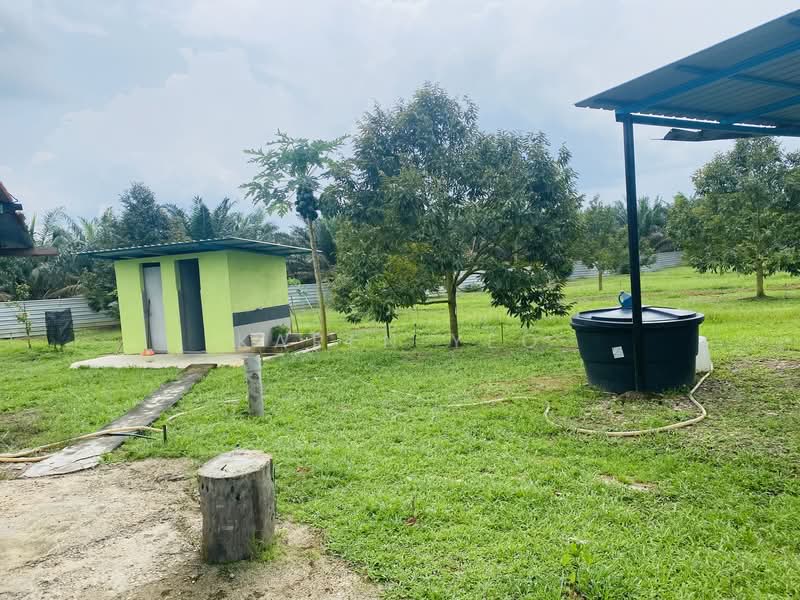 Agricultural Land for Sale in Chamek (Paloh) - Karen Yeo - PropertyGuru.com.my