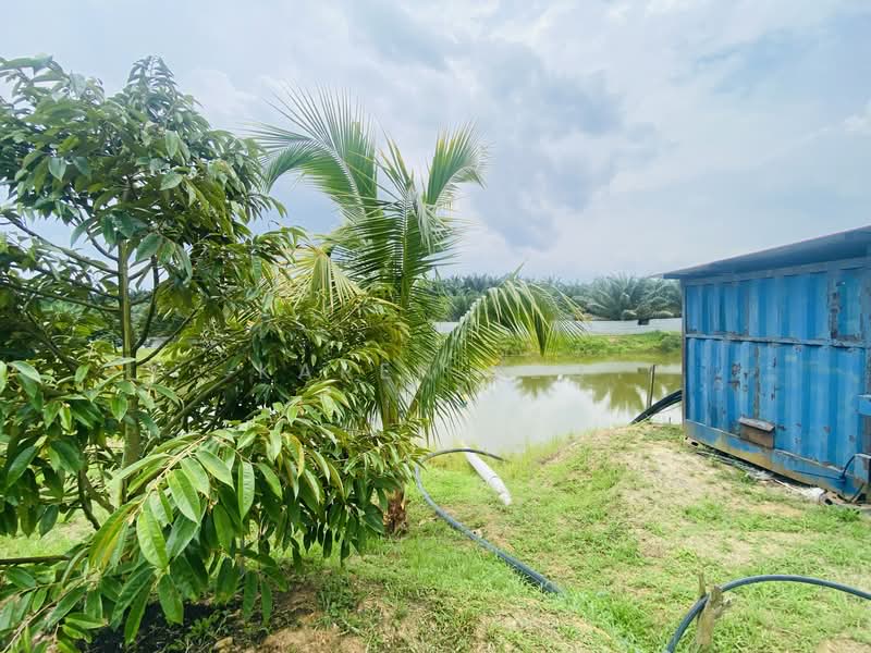 Agricultural Land for Sale in Chamek (Paloh) - Karen Yeo - PropertyGuru.com.my