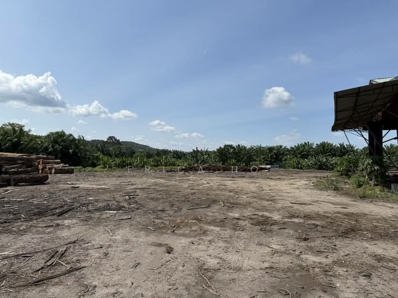 Factory for Sale in Mersing (Johor) - Erica Ho - Exterior - PropertyGuru.com.my