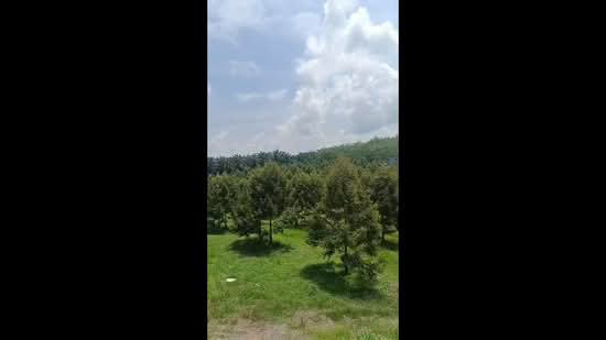 Agricultural Land for Sale in Lanchang (Pahang) - Willa Wong - PropertyGuru.com.my
