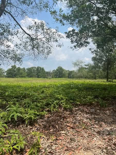 Tanah Kediaman untuk Dijual di Bandar Seri Alam (Masai) - Kevin Ho - Garden - PropertyGuru.com.my