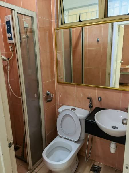 Kondominium untuk Disewa di East Lake Residence - Eddy Lee - Bathroom - PropertyGuru.com.my