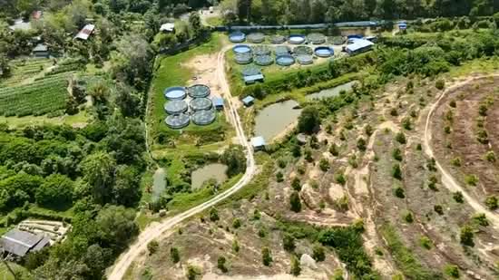 Agricultural Land for Sale in Tampin (Negeri Sembilan) - Eddy Leow - PropertyGuru.com.my
