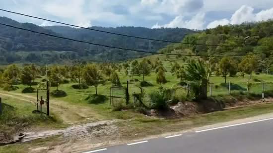 Agricultural Land for Sale in Tampin (Negeri Sembilan) - Eddy Leow - PropertyGuru.com.my