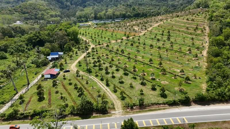 Agricultural Land for Sale in Tampin (Negeri Sembilan) - Eddy Leow - Exterior - PropertyGuru.com.my
