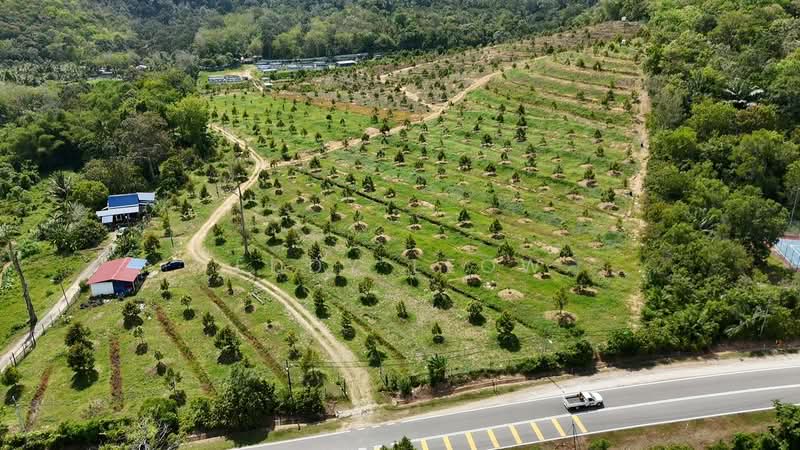Agricultural Land for Sale in Tampin (Negeri Sembilan) - Eddy Leow - Exterior - PropertyGuru.com.my