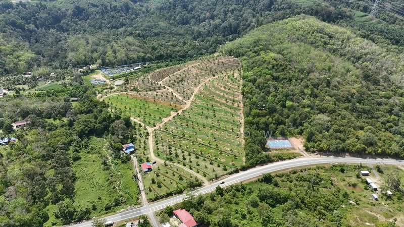 Agricultural Land for Sale in Tampin (Negeri Sembilan) - Eddy Leow - Exterior - PropertyGuru.com.my