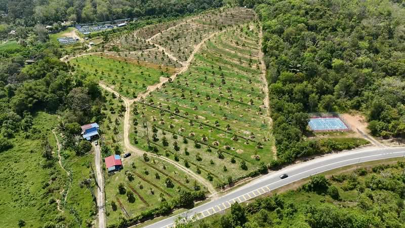 Agricultural Land for Sale in Tampin (Negeri Sembilan) - Eddy Leow - Exterior - PropertyGuru.com.my