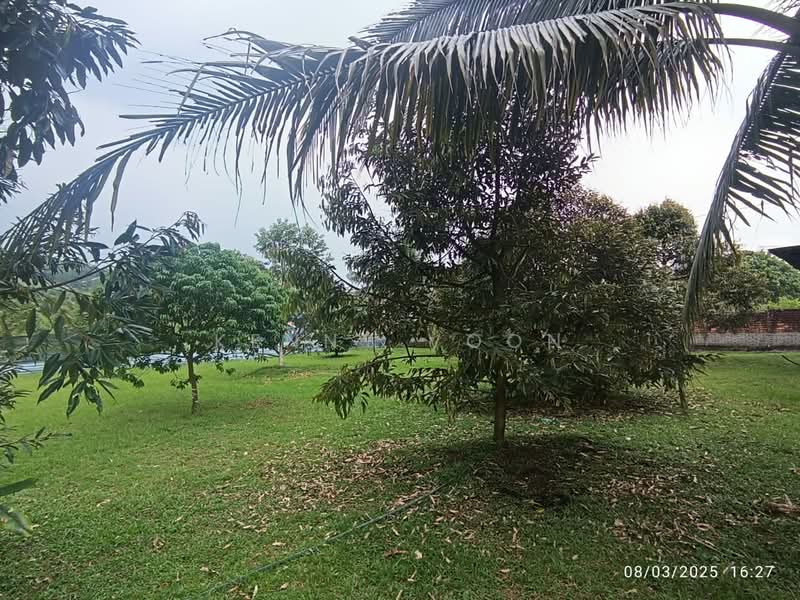 Tanah Pertanian untuk Dijual di Ulu Yam (Selangor) - Kenny Voon - Garden - PropertyGuru.com.my