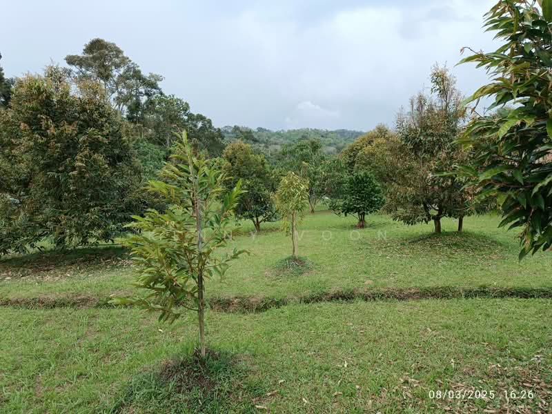 Tanah Pertanian untuk Dijual di Ulu Yam (Selangor) - Kenny Voon - Garden - PropertyGuru.com.my