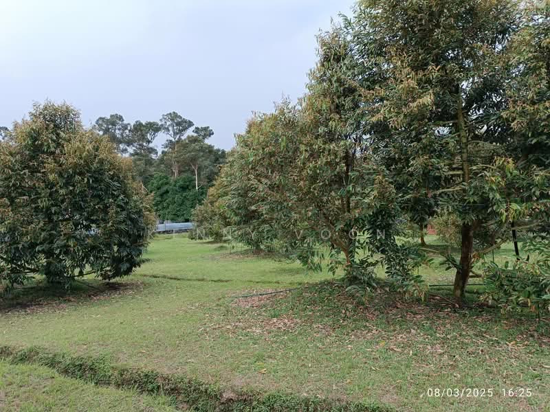 Tanah Pertanian untuk Dijual di Ulu Yam (Selangor) - Kenny Voon - Exterior - PropertyGuru.com.my