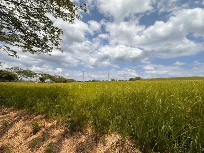 Residential Land for Sale in Leisure Farm (Gelang Patah) - CK Chan - Exterior - PropertyGuru.com.my