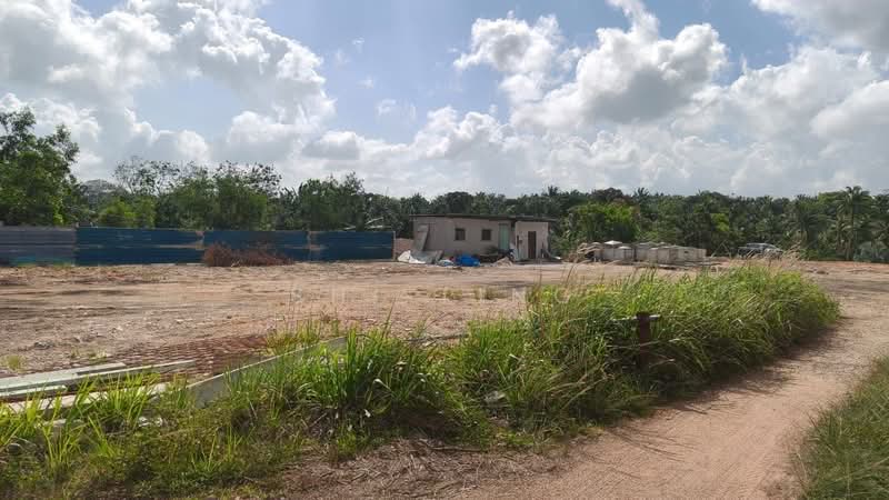 Tanah Pertanian untuk Dijual di Kawasan Perindustrian Tanjung Langsat (Pasir Gudang) - Shi Ting - PropertyGuru.com.my