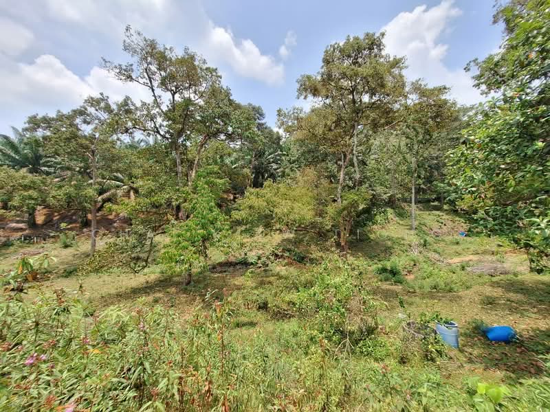 Agricultural Land for Sale in Felda Panching Utara (Kuantan) - Chai Kiew Tiong - Exterior - PropertyGuru.com.my