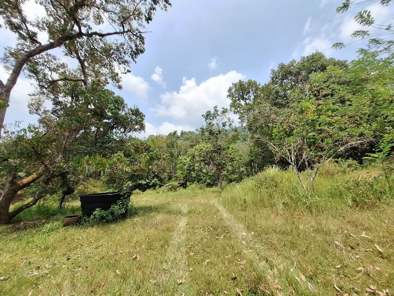 Agricultural Land for Sale in Felda Panching Utara (Kuantan) - Chai Kiew Tiong - Exterior - PropertyGuru.com.my