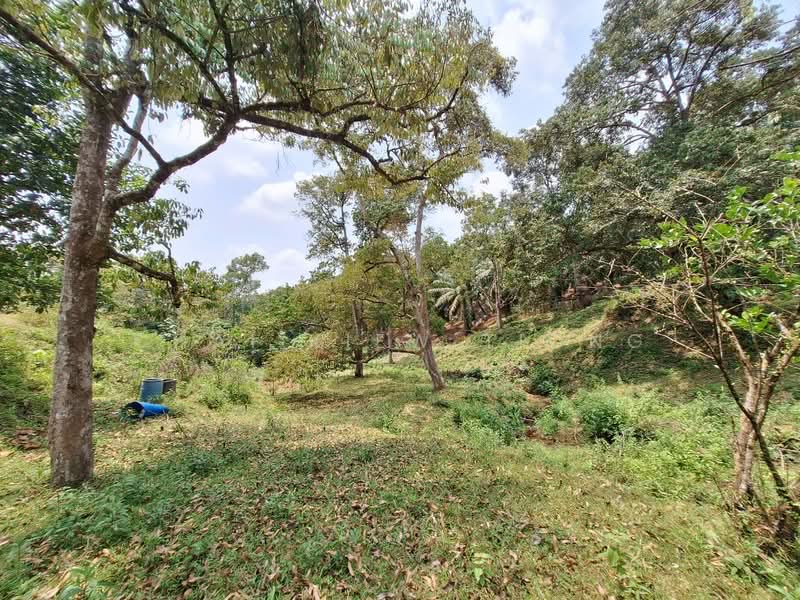 Agricultural Land for Sale in Felda Panching Utara (Kuantan) - Chai Kiew Tiong - Exterior - PropertyGuru.com.my
