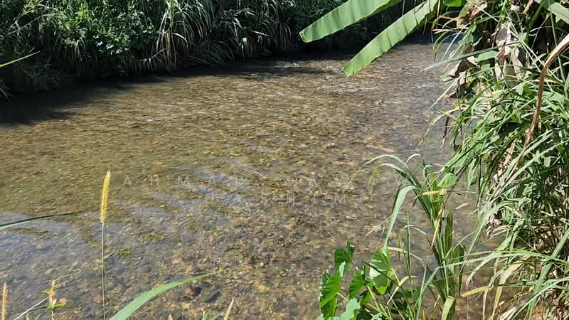 Agricultural Land for Sale in Kalumpang (Selangor) - Ahmad Zawawi Hashim - Exterior - PropertyGuru.com.my