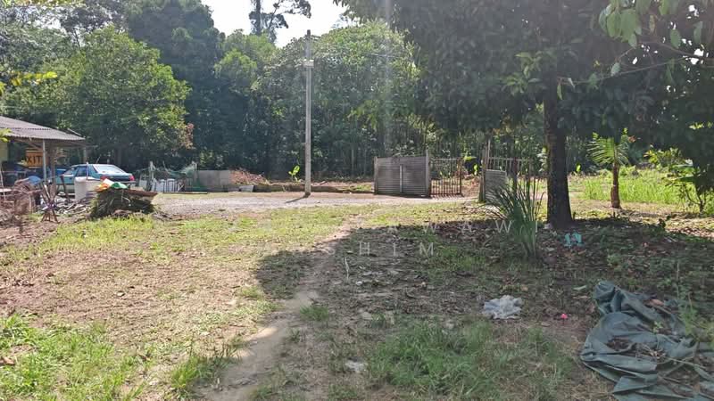 Agricultural Land for Sale in Kalumpang (Selangor) - Ahmad Zawawi Hashim - Exterior - PropertyGuru.com.my