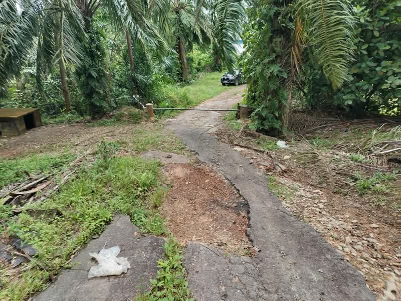 Agricultural Land for Sale in Kluang (Johor) - Anson Chua - Exterior - PropertyGuru.com.my