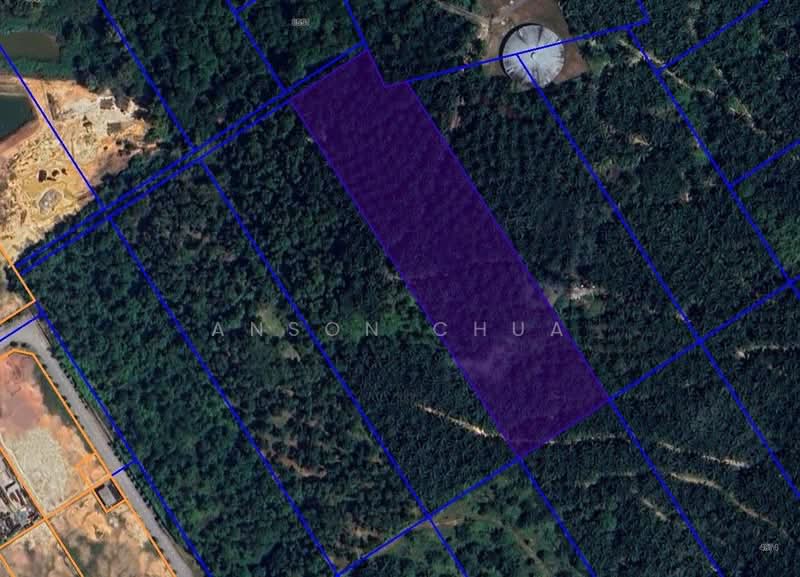 Agricultural Land for Sale in Kluang (Johor) - Anson Chua - PropertyGuru.com.my
