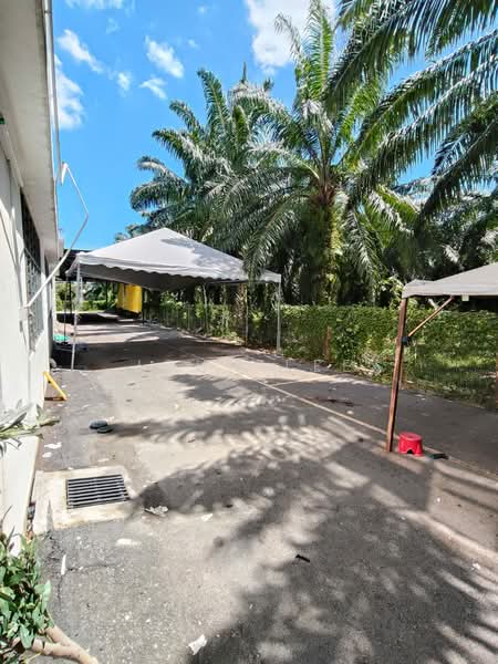 Kilang untuk Disewa di Jenjarom (Selangor) - John Lee - Exterior - PropertyGuru.com.my