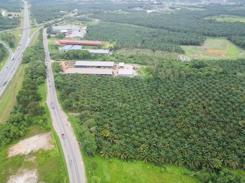 Tanah Pertanian untuk Dijual di Yong Peng (Johor) - Karen Yeo - PropertyGuru.com.my