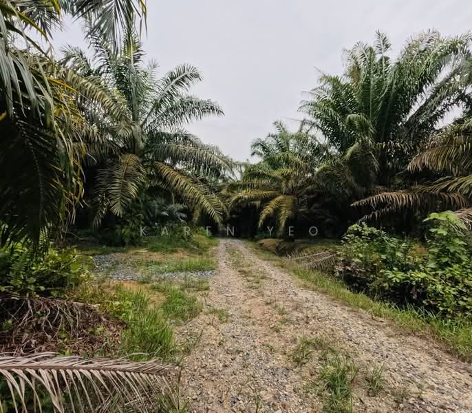 Tanah Pertanian untuk Dijual di Yong Peng (Johor) - Karen Yeo - PropertyGuru.com.my